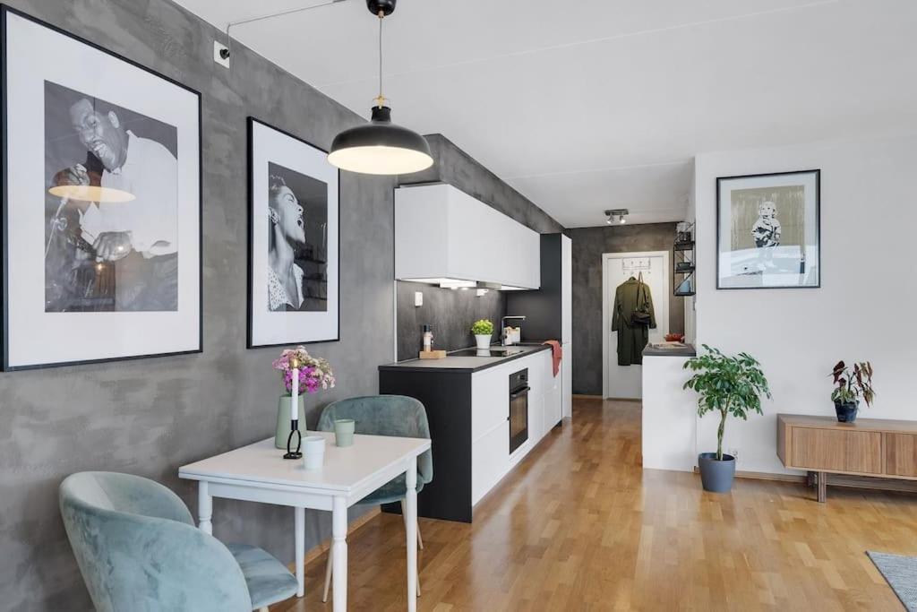 Apartment Moderne Og Vakker Leilighet, Sentrum Oslo